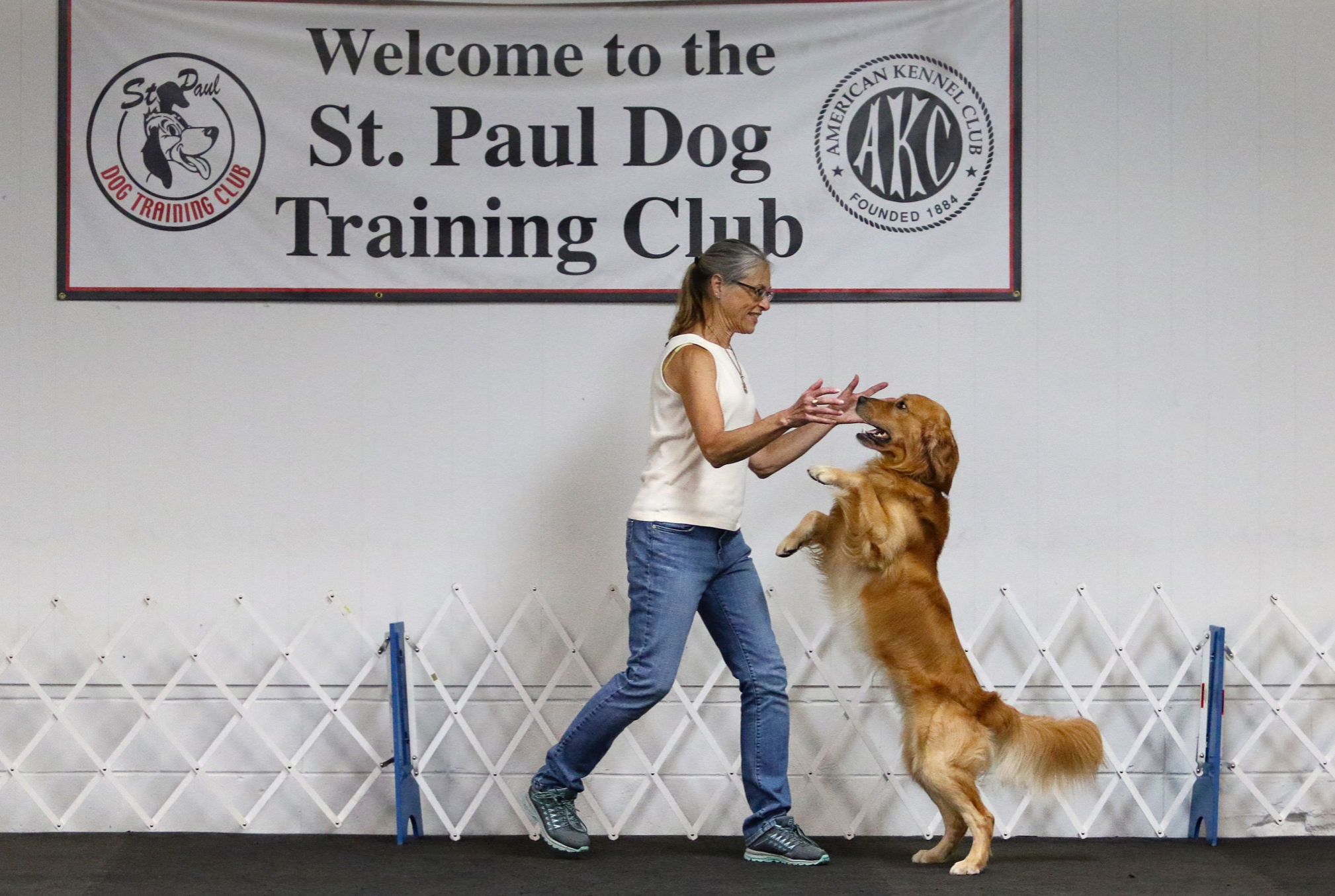 Competition store obedience classes